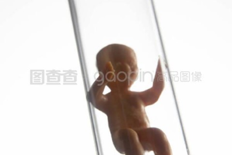 http://nanchang.nbgk120.com/post/209.html|南昌捐卵费用