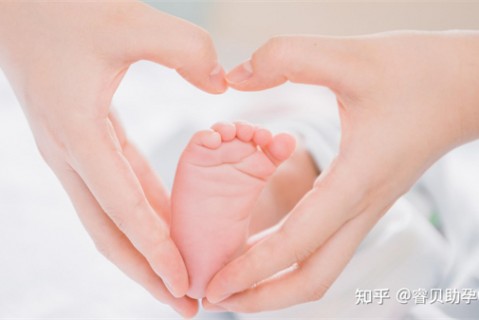 夏天南昌捐卵宝宝发烧 莫要急