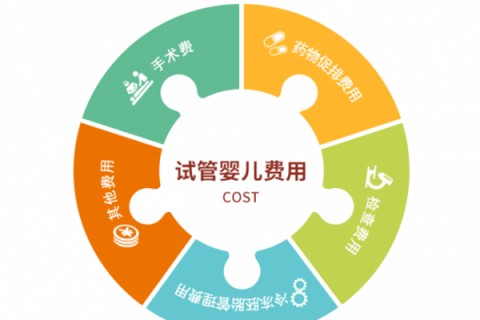 南昌捐卵宝宝肚痛，父母该怎么办？